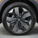Renault Kardian Atrás 18